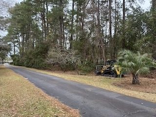 Heavy roadside brush crowding the property line before clearing