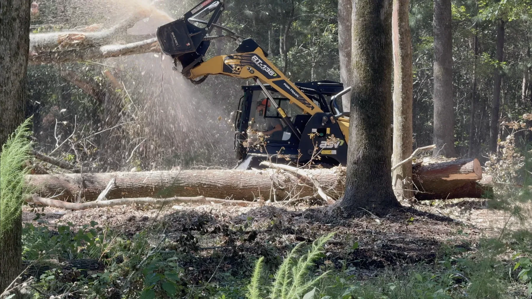 Forestry mulcher cutting through dense underbrush