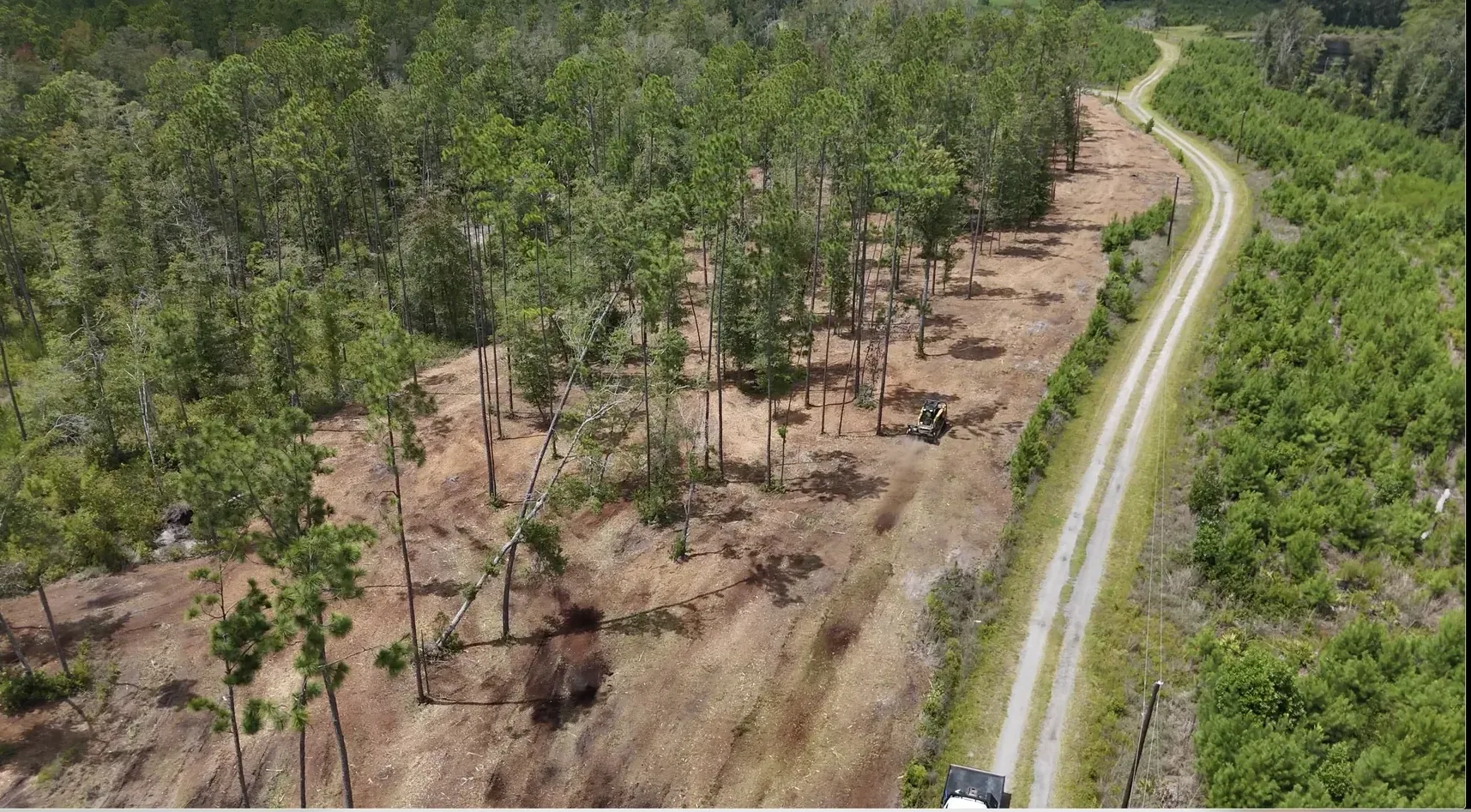 Open corridor cut as a firebreak through timber