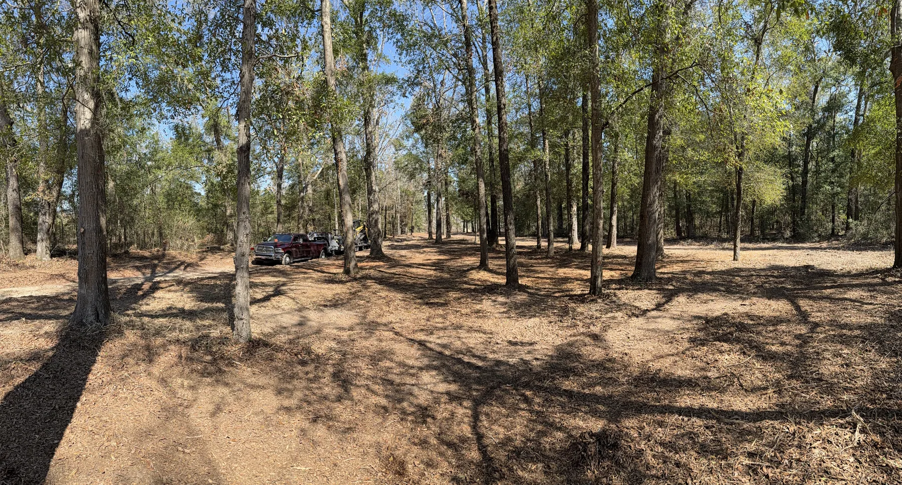 Crew finishing a mulched wooded property in Effingham County, Georgia
