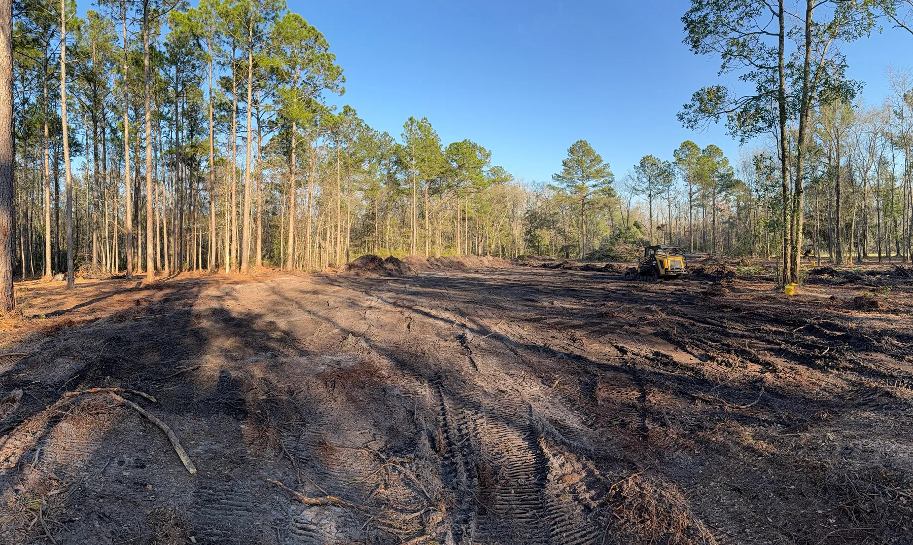 Open ground after a full clearing job